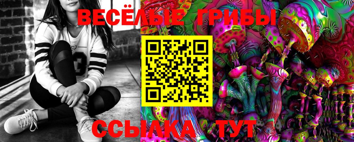 Псилоцибиновые грибы мухоморы Карачаевск