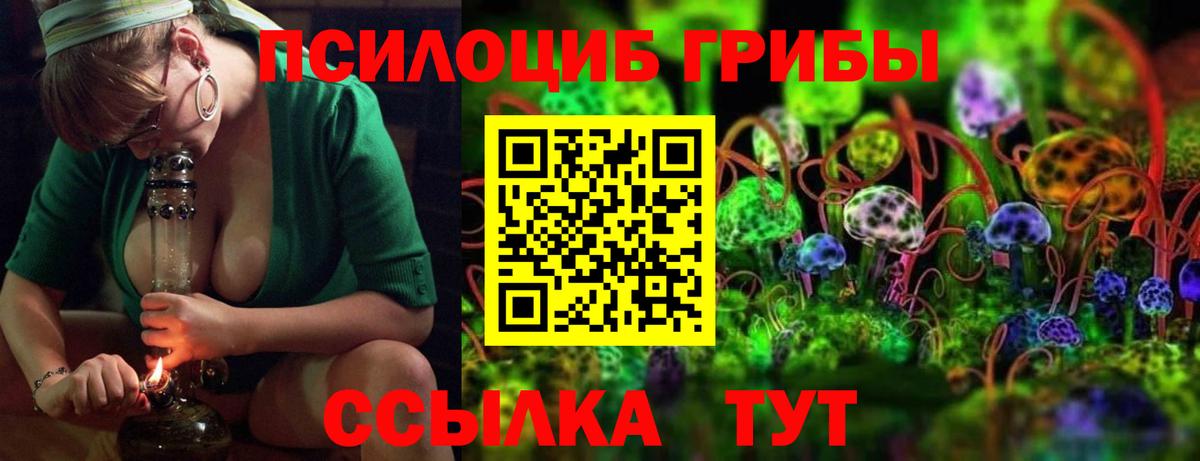 Галлюциногенные грибы Cubensis  Галлюциногенные грибы мицелий  Вход с VPN  Карачаевск 